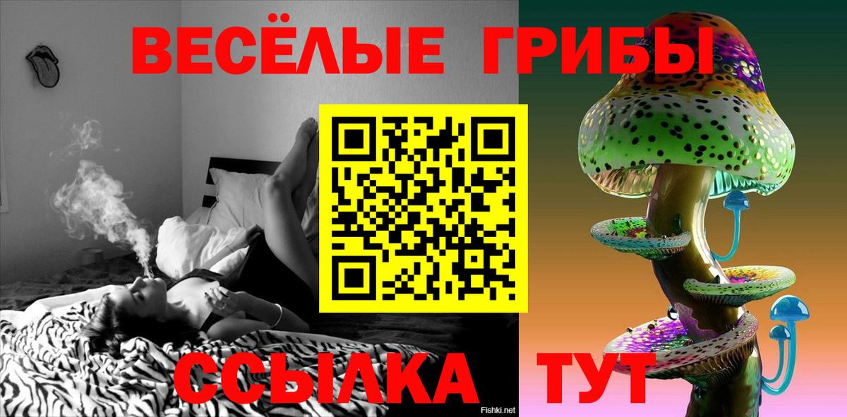 где купить   Псилоцибиновые грибы Magic Shrooms  Вход с VPN  Ярославль 